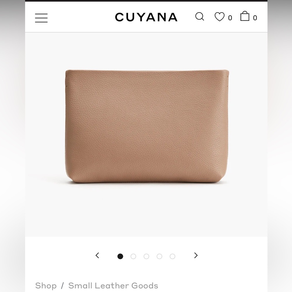 Cuyana brand small zipper pouch